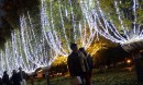 Светодиодная гирлянда на деревья. Белая. Постоянное свечение.